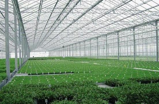 1566209998354774.jpg 360截圖20190819182744946.jpg